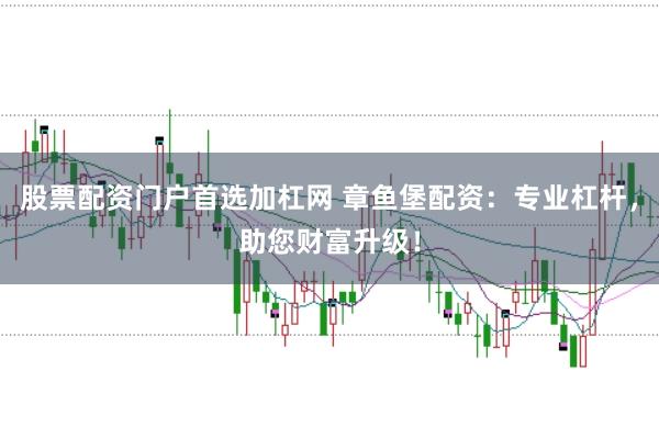 股票配资门户首选加杠网 章鱼堡配资：专业杠杆，助您财富升级！