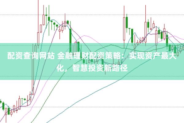 配资查询网站 金融理财配资策略：实现资产最大化，智慧投资新路径
