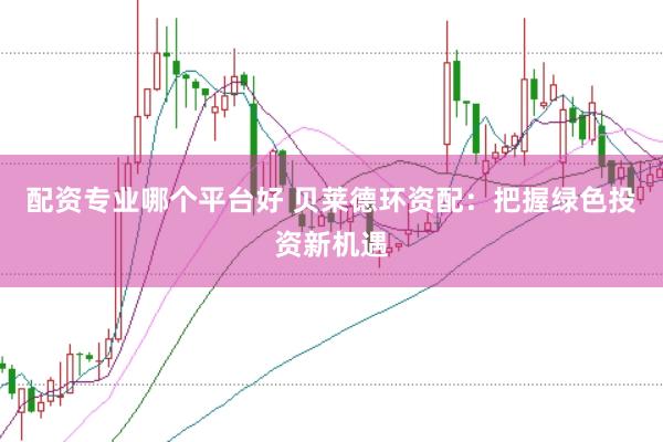 配资专业哪个平台好 贝莱德环资配：把握绿色投资新机遇
