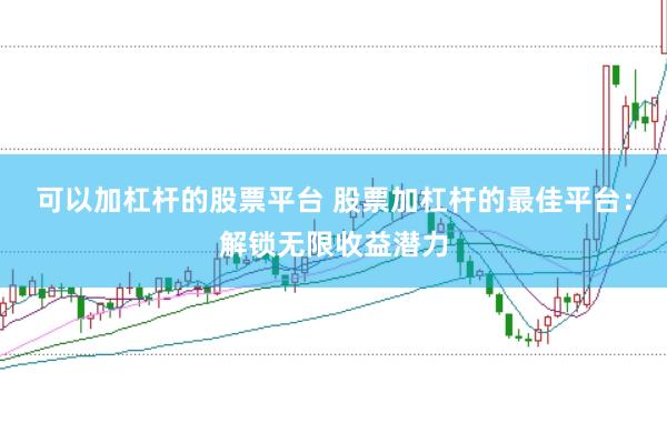 可以加杠杆的股票平台 股票加杠杆的最佳平台：解锁无限收益潜力