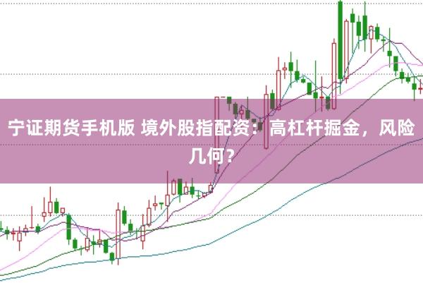 宁证期货手机版 境外股指配资：高杠杆掘金，风险几何？
