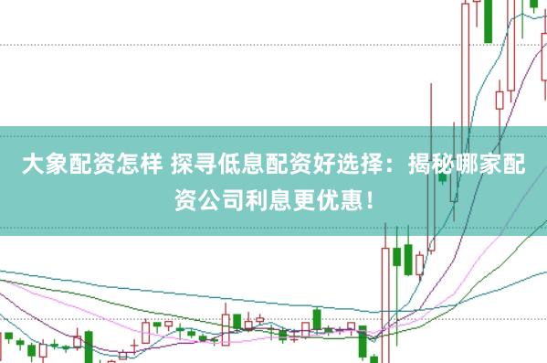 大象配资怎样 探寻低息配资好选择：揭秘哪家配资公司利息更优惠！