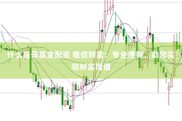 什么是母基金配资 唯信财富：专业理财，助您实现财富增值