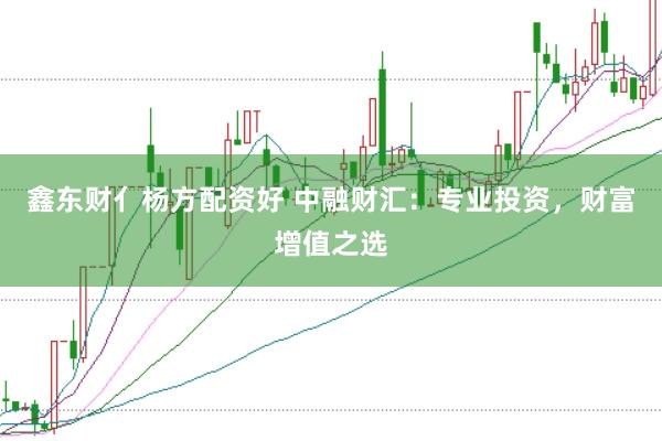 鑫东财亻杨方配资好 中融财汇：专业投资，财富增值之选