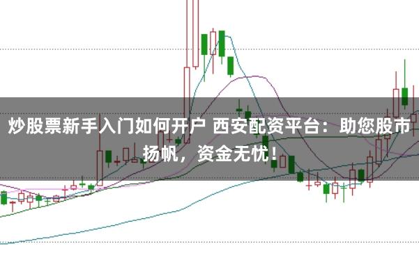 炒股票新手入门如何开户 西安配资平台:助您股市扬帆,资金无忧!