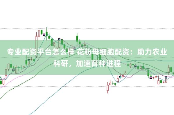 专业配资平台怎么样 花粉母细胞配资:助力农业科研,加速育种进程