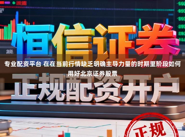 专业配资平台 在在当前行情缺乏明确主导力量的时期里阶段如何用好北京证券股票