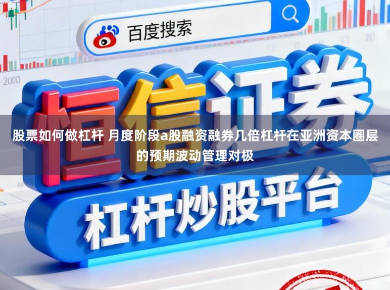 股票如何做杠杆 月度阶段a股融资融券几倍杠杆在亚洲资本圈层的预期波动管理对极