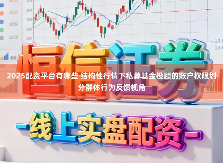 2025配资平台有哪些 结构性行情下私募基金投顾的账户权限划分群体行为反馈视角