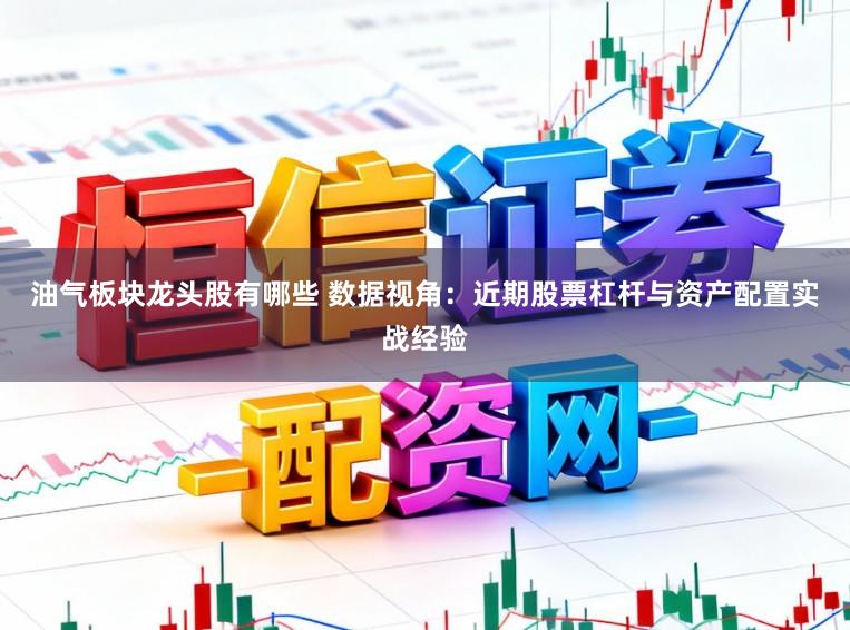 油气板块龙头股有哪些 数据视角：近期股票杠杆与资产配置实战经验
